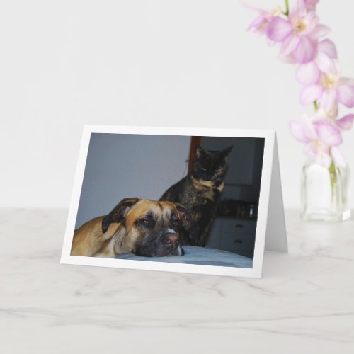 Dog with Cat Portrait Card