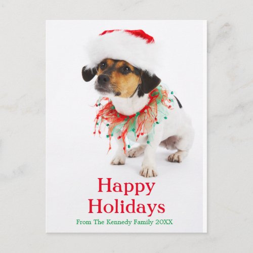 Dog with Christmas Collar and Santa Hat Holiday Postcard