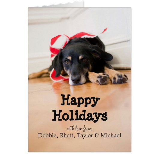 Dog with Christmas ribbons Cards (Front)