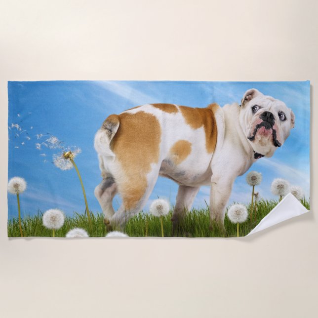 Dog With Dandelion Beach Towel (Front)