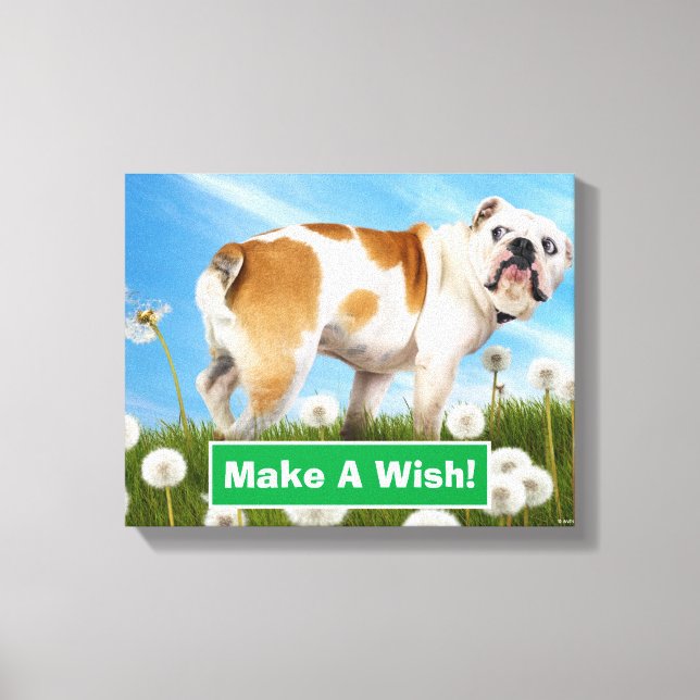 Dog With Dandelion Canvas Print (Front)