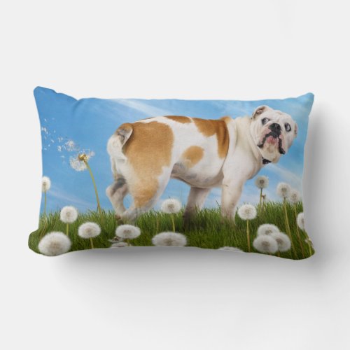 Dog With Dandelion Lumbar Pillow