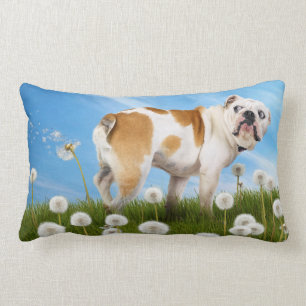 Dog With Dandelion Lumbar Pillow