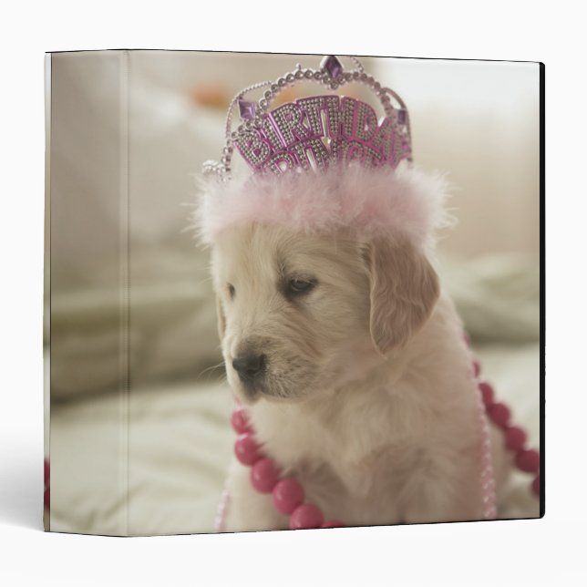 Dog with decorations on bed 3 ring binder (Front/Spine)