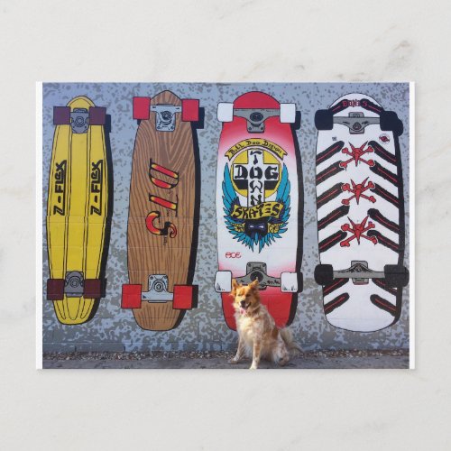 Dog with Dogtown skateboard mural Postcard