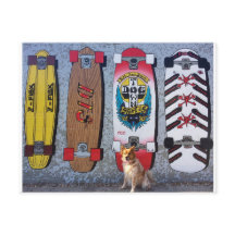 Dog with Dogtown skateboard mural