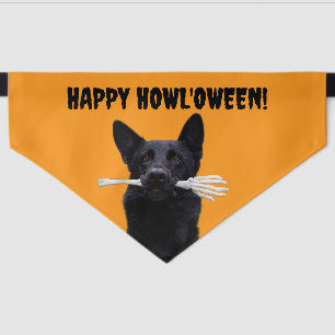 Dog With Human Bones Halloween Pet Bandana Collar