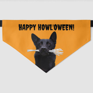 Dog With Human Bones Halloween Pet Bandana Collar
