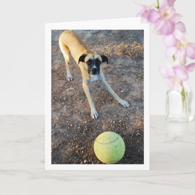 Dog with Large Tennis Ball Card (Orchid)