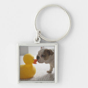 Dog with plastic duck keychain