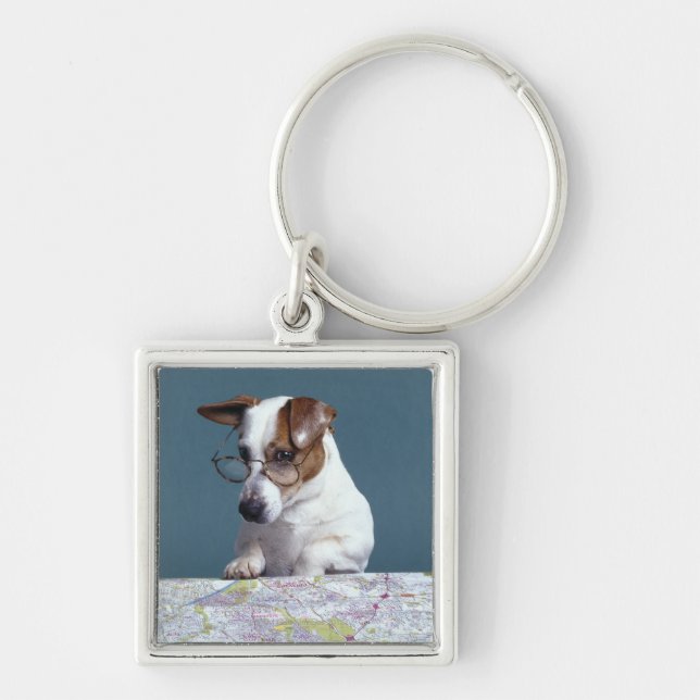 Dog with reading glasses studying map keychain (Front)
