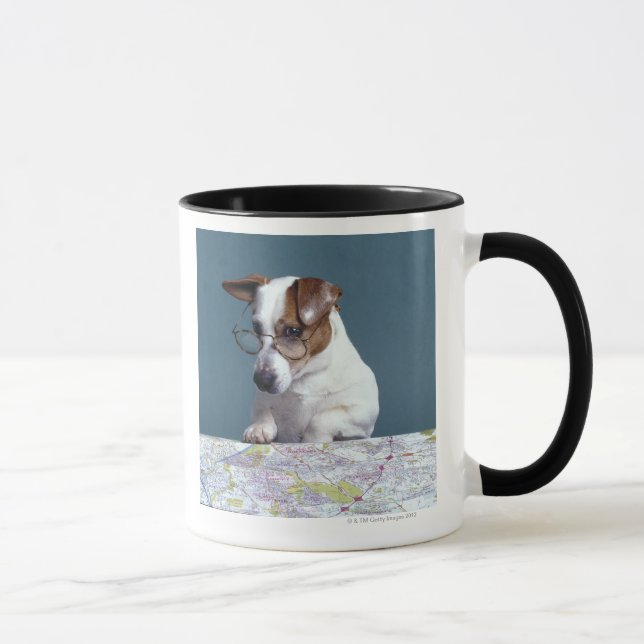 Dog with reading glasses studying map mug (Right)