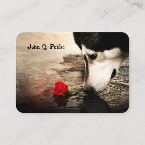 Husky with Red Rose Business Card