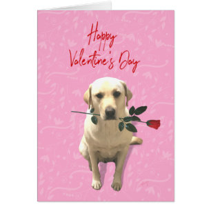 Dog with Rose Happy Valentine's Day Holiday Cards