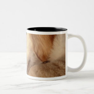 Dog with shoes lying on wooden floor, elevated Two-Tone coffee mug