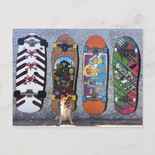 Dog with Skateboards Mural Postcard