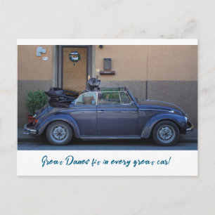 Dog with Style: Great Danes Postcard
