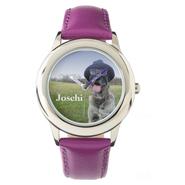 Dog with sunglasses and hat watch (Front)