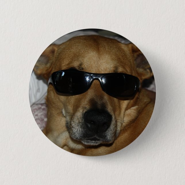 Dog with sunglasses button (Front)
