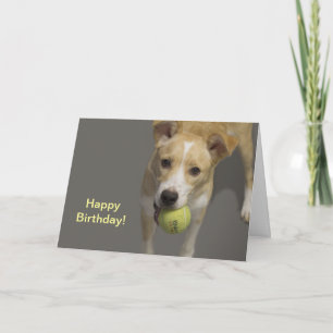 Dog With Tennis Ball Birthday Card