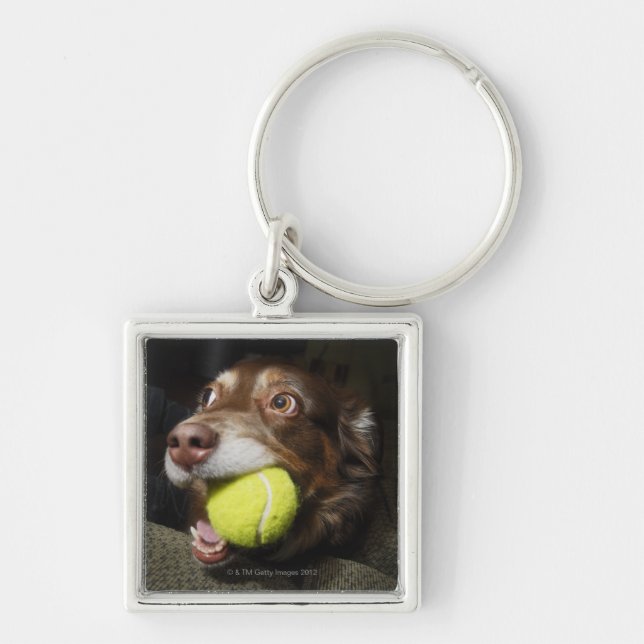 Dog with Tennis Ball Keychain (Front)