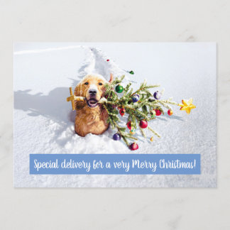 Dog With Tree In Snow Invitation
