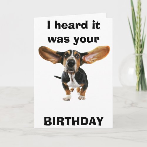 Dog Years Birthday Card for 40th year