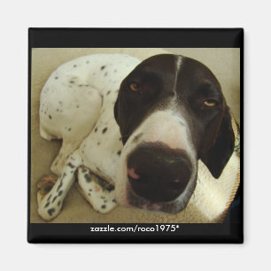 Dog Years Magnet