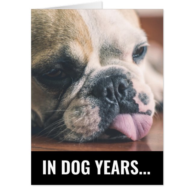 DOG YEARS YOU'RE DEAD HUGE BIRTHDAY GREETING CARD (Front)