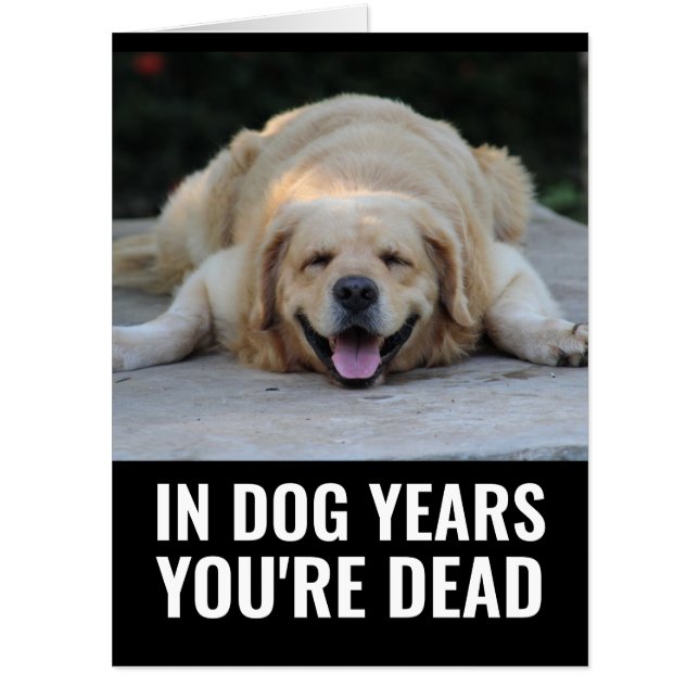 DOG YEARS YOU'RE DEAD HUGE BIRTHDAY GREETING CARD (Front)