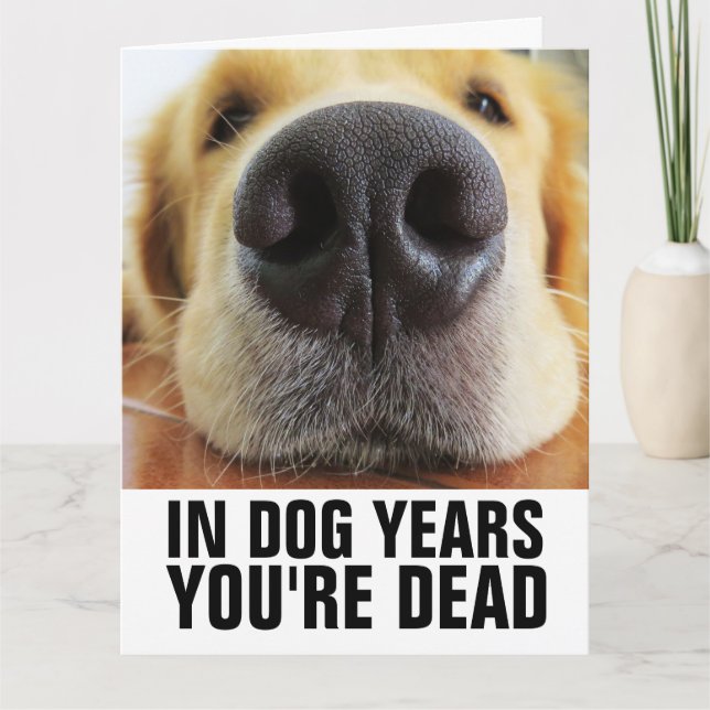 DOG YEARS YOUR'RE DEAD DOG BIRTHDAY Greeting Card (Front)