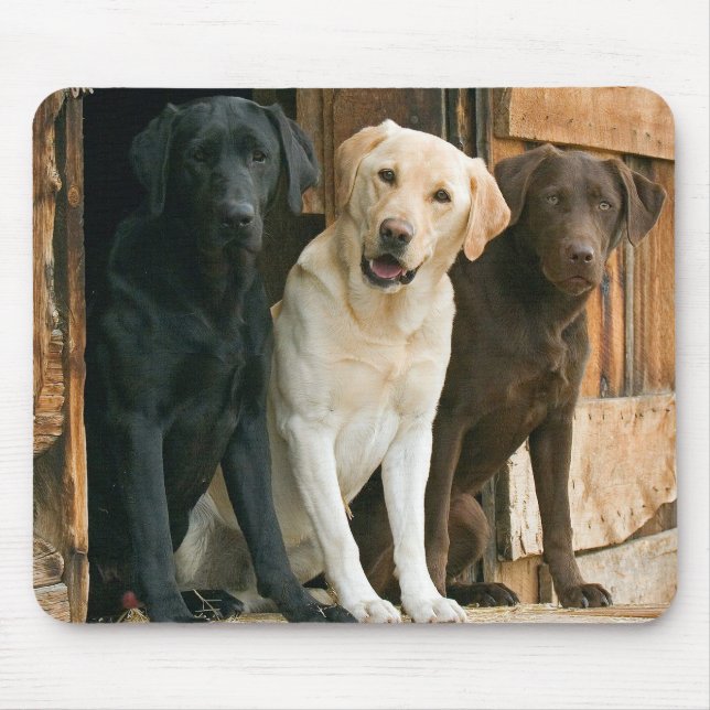 Dog Yellow Lab Black Brown Labrador Retriever  Mouse Pad (Front)