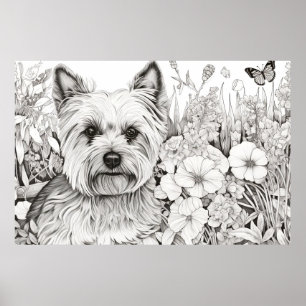 Dog Yorkshire Terrier Peaceful Nature Prairie Pet Poster