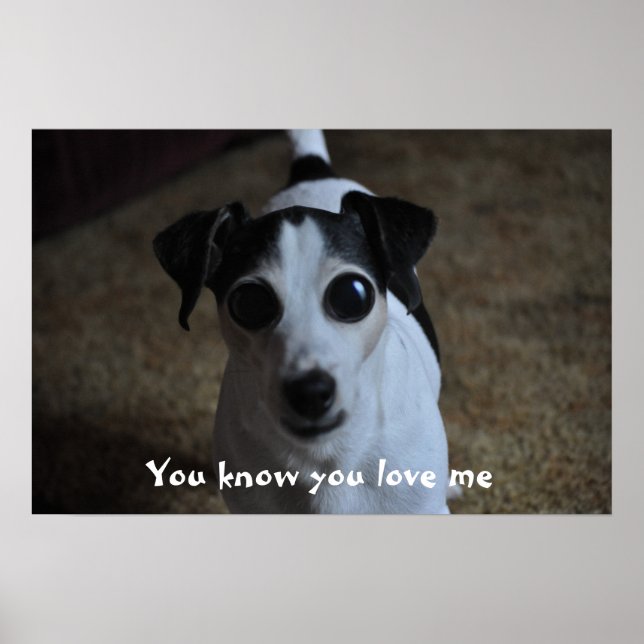 dog, You know you love me. Poster (Front)