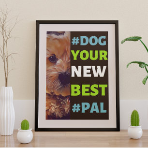#Dog, your New Best #Pal ...Cavapoo Poster