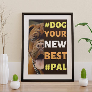 #Dog, your New Best #Pal ...Mastiff Poster