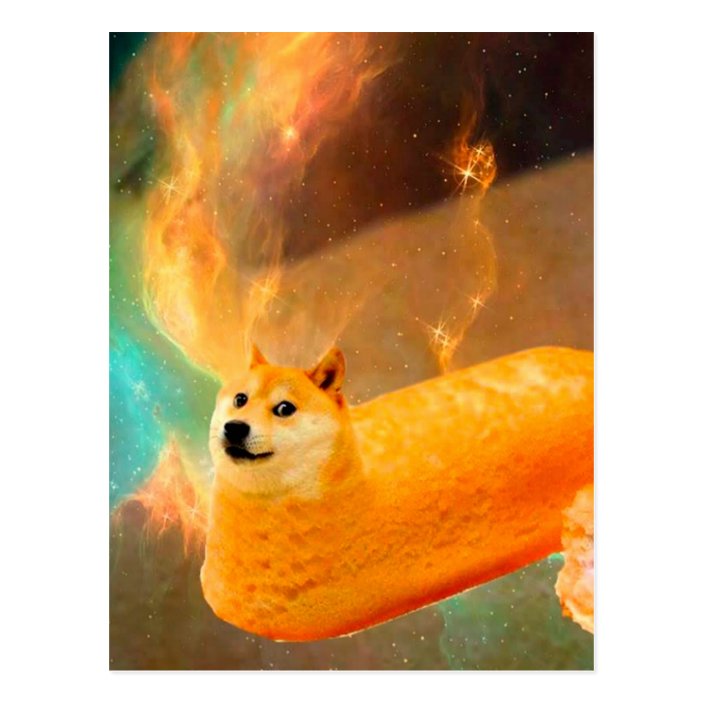 Bread Doge - double doge in a pouch roblox