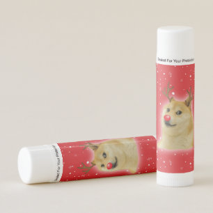 Doge Dogright Doggo Dog Christmas Meme Card red Lip Balm