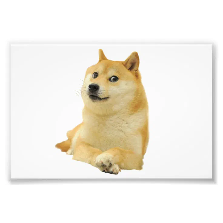 shibe meme black and white