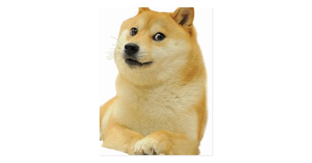 Doge Meme Doge Shibe Doge Dog Cute Doge Postcard Zazzle Com