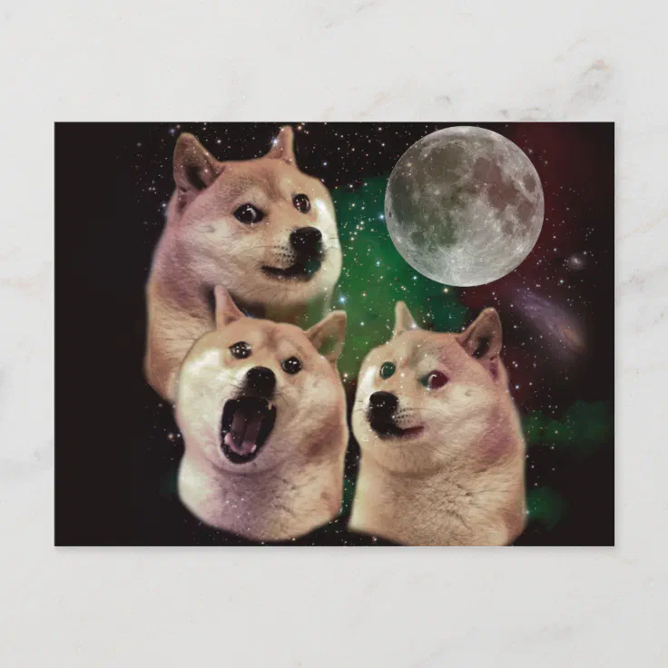 moon moon doge