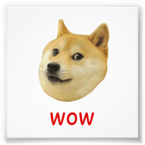 Doge Very Wow Much Dog Such Shiba Shibe Inu Photo Print