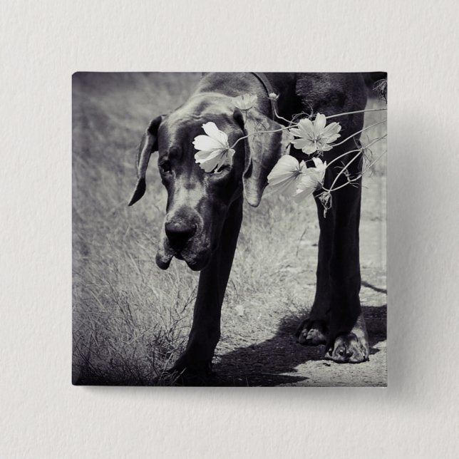 Dogge Balu Pinback Button (Front)