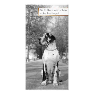 Dogge-Bilder Card