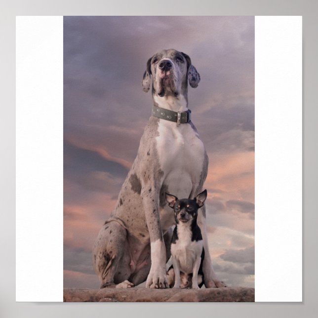 Dogge+Chihuahua Poster (Front)