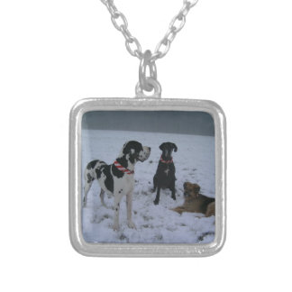 Dogge, Great Dane,Dogs,Christmas Silver Plated Necklace