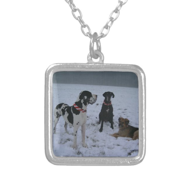 Dogge, Great Dane,Dogs,Christmas Silver Plated Necklace (Front)