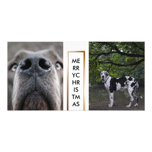 Doggen Foto Karten Card (Front)