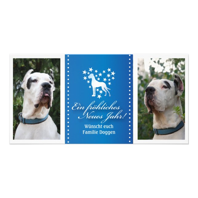 Doggen Foto Karten mit Nachricht Card (Front)