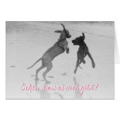 Doggenkarte "Schön" (Front Horizontal)